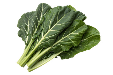 Fresh Bok Choy Bunch Green Leafy Vegetable