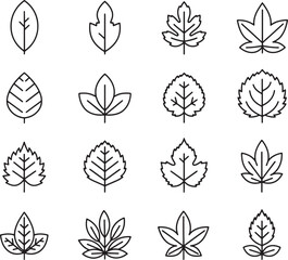 Naklejka premium Collection of sixteen distinct black line leaf on a white background also transparent background leaves
