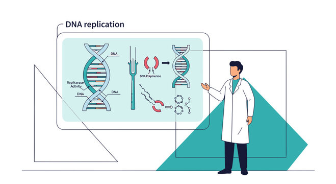 Illustrative depiction of a medical professional explaining the intricacies of dna replication