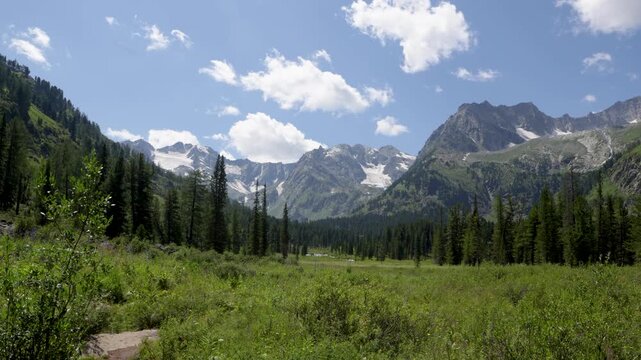 Picturesque mountain valley with forest and snow-capped mountains in the background