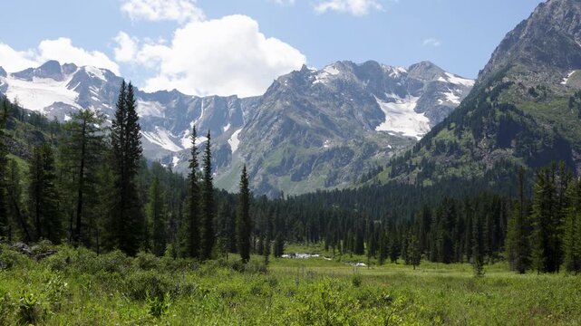 Picturesque mountain valley with blooming alpine meadows, forest and snow-capped mountains in the background