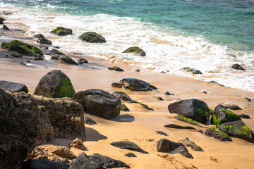 Oahu, Hawaii Sea Turtle on the North Shore in the winter of 2025