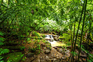 Oahu, Hawaii, Manoa Falls in the winter of 2025