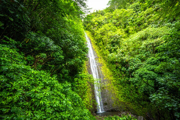 Oahu, Hawaii, Manoa Falls in the winter of 2025