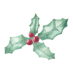 Fototapeta premium Holly branch with green leaves and red berries, isolated on a white background. Perfect for Christmas and winter holiday decorations. Botanical illustration painted with watercolors, hand-painted