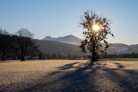 Wintersonnenaufgang im Salzburger Land mit Baum und Feld und Bergen