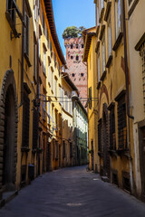 Guinigi Tower, Lucca