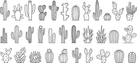 Black and white vector set of cactus and succulent line art illustrations featuring various desert plants for summer nature design. © Mim's World
