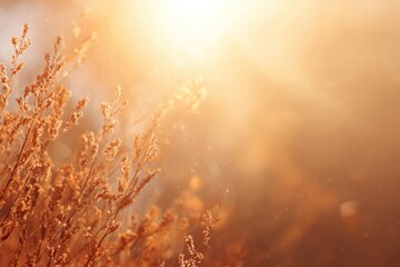 Tranquil Autumn Nature with Dreamy Sunlight