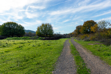 Obraz premium country road in the countryside