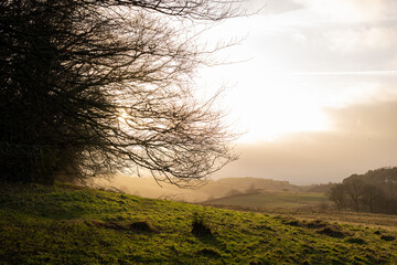 Mist mist rises over a green meadow field and autumn forest at dawn as the morning sun creates a golden sunrise sky with clouds behind tree silhouettes in this summer nature landscape