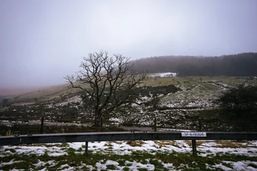Selbstklebende Fototapeten Lavendel Bare tree next to a stream by the roadside on a snowy, foggy day at Nant Crew in Bannau Brycheiniog  © Alex Martin