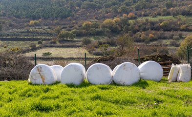 50 kg bags of corn silage, animal feed