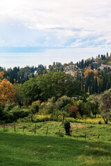 Spring hilltop view of coastal city with distant Ferris wheel, where urban landscape meets sea horizon.