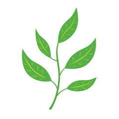 Green tea leaves branch flat illustration isolated vector