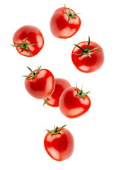 Beautifully retouched elite quality and grade plum-shaped tomatoes forming figure looks like a loop in space. Isolated on white