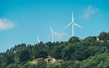 Wind turbine on forest hill