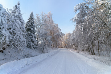 road in the snow © talavietis