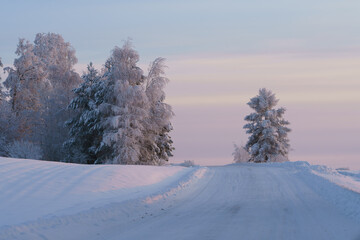 winter landscape with trees