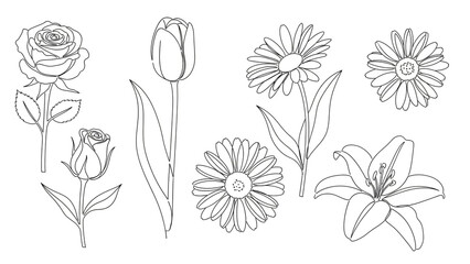 Floral Illustrations in Minimalist Style with Simple Line Art in Black and White for Greeting Cards