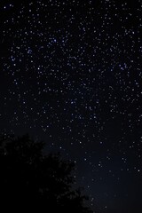 Fototapeta premium Clear Starry Night Sky with Bright Stars and Dark Silhouette Landscape