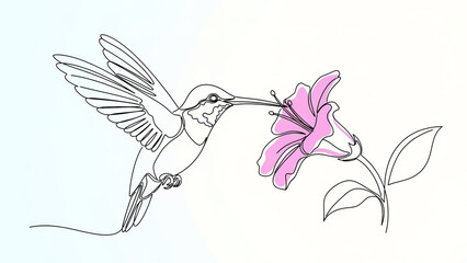 Obraz premium Hummingbird feeding from pink flower in minimalist line art with soft pastel colors for nature illustration