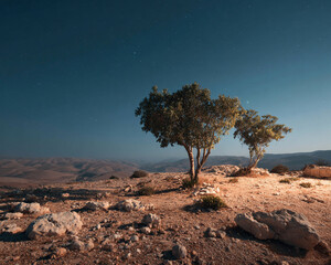 A desert landscape  almost at night 