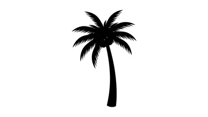 Obraz premium Palm tree silhouette in minimalist style with dramatic black color on white background for tropical icon