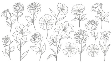 Floral Illustrations in Simple Line Art Style with Monochromatic Color on White Background for Greeting Cards