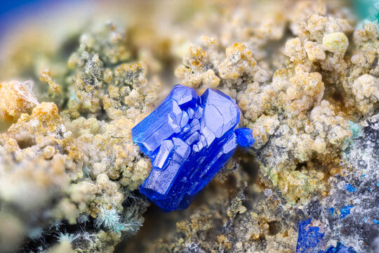 Azurite crystals. Specimen from Valcroze, Le Vigan, France. Micro photography extreme close-up. microscope mineral crystal photography for Scientific use.