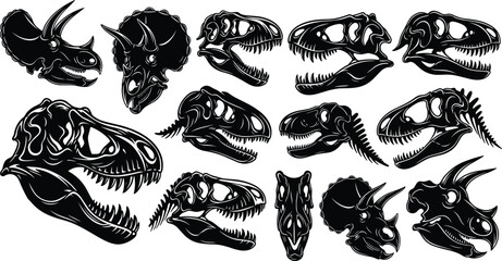 prehistoric, dinosaur, skulls, silhouettes, set, tyrannosaurus, triceratops, fossil, heads, black, white, vector, illustration, paleontology, science, art, extinct, reptiles, collection, design © Jisan World