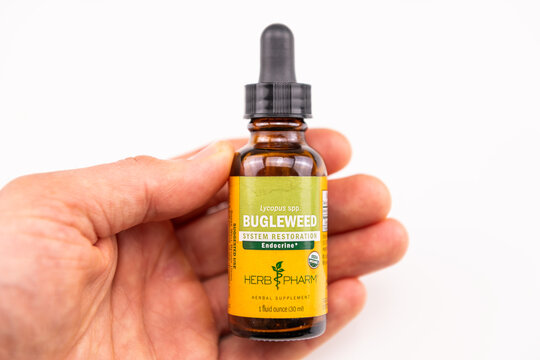 Naples, USA - May 4, 2022: Bugleweed herbal extract in glass bottle for hyperthyroidism disease medicine dietary supplement
