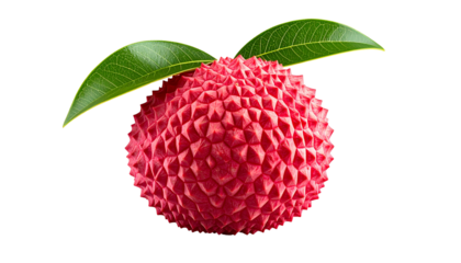 Isolated close-up of a lychee fruit with rough red skin and two green leaves