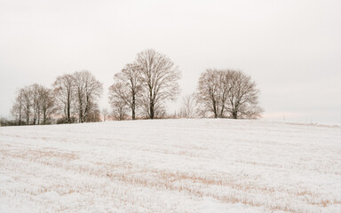 Zimowy krajobraz w Ziemi Kłodzkiej (Polska) © Bartomiej