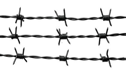 Close-up of three parallel strands of dark, shiny, barbed wire against a black backdrop