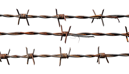 Close-up of three parallel strands of rusty barbed wire against a stark black backdrop
