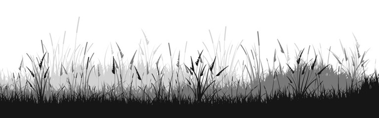Meadow silhouette with grass, plants on plain. Panoramic summer lawn landscape with herbs, various weeds. Herbal border, frame element. Black horizontal banners. Vector illustration