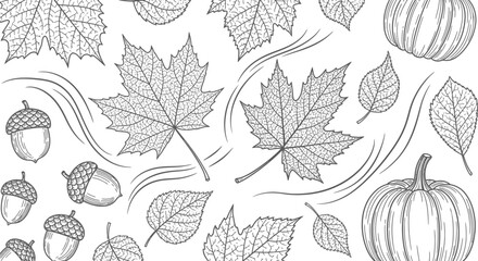 Detailed line art illustration of fall leaves acorns and pumpkins. © Dika