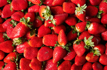 Fresh ripe strawberries background, top view. Plastic packaging of strawberries. 