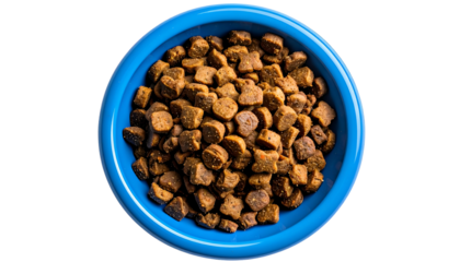 Overhead view of a blue bowl filled with dry, brown pet food kibble against black