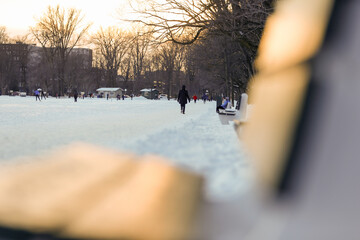 Une femme se prom&egrave;ne dans un parc en hiver. Magnifique paysage hivernal.