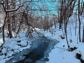Paysage d'hiver avec une petite rivi&egrave;re en for&ecirc;t. Qu&eacute;bec, Canada.