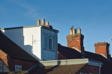 A terraced house loft conversion next to other rooftops with blue sky background