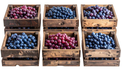 Six wooden crates overflowing with ripe grapes, displaying various colors and textures