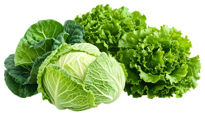 Grouping of fresh green leafy vegetables, a cabbage with other lettuces