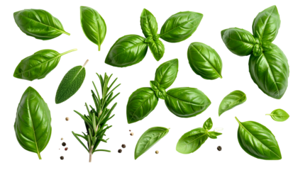 Fresh green basil leaves, rosemary sprig, pepper scattered on black background