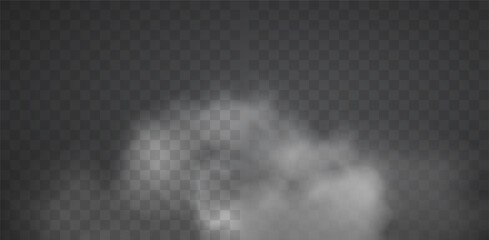 Realistic white fog, smoke, dust, steam or cloud. Isolated special effect with transparency. Cloudy and fluffy texture, fire smoke wave, or smoking explosion. Vector element.