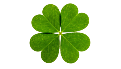 Isolated four-leaf clover against a stark black background, showcasing vibrant green detail