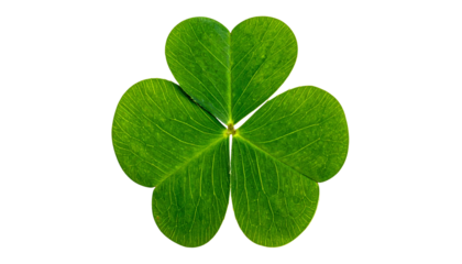 Isolated close-up of a vibrant green three-leafed clover against a solid black background