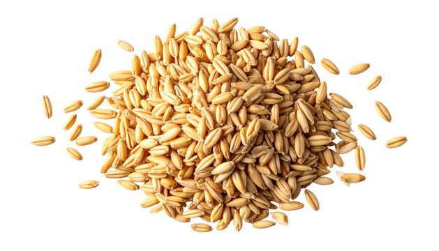 Overhead view of a pile of golden oat groats on a stark black background